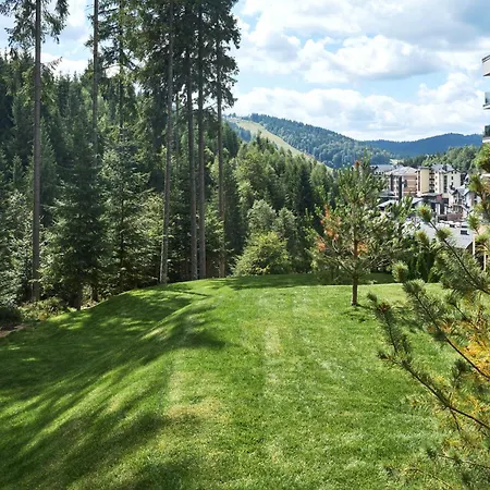 Velvet By Fomich * Palyanytsya