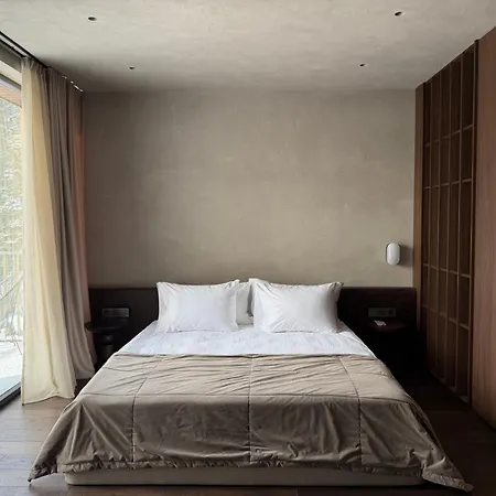 Villa Velvet By Fomich Palyanytsya