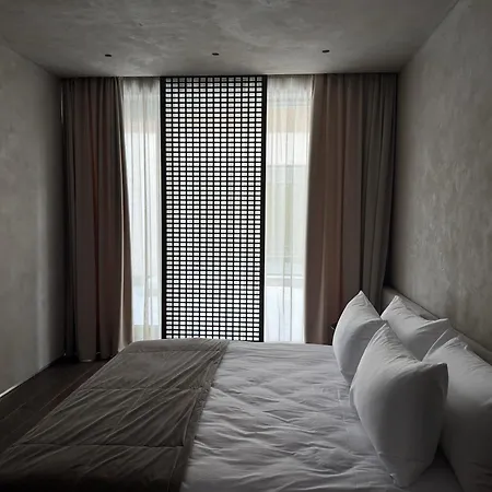 Velvet By Fomich Palyanytsya