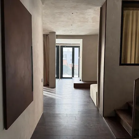 Velvet By Fomich Palyanytsya